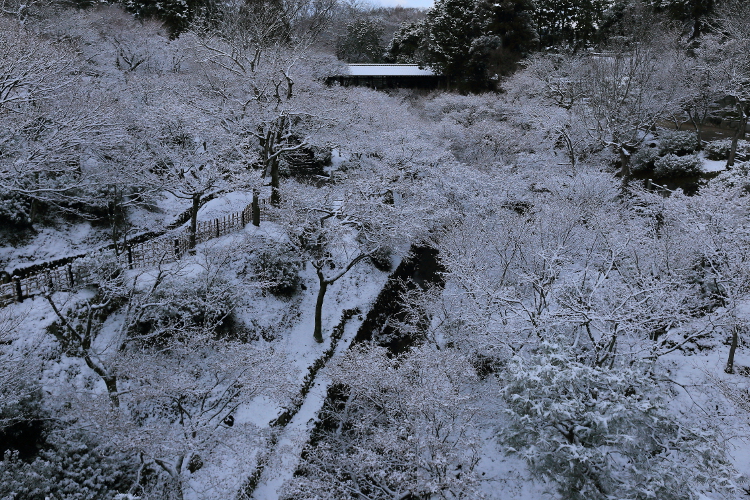 e0051888_1151335.jpg