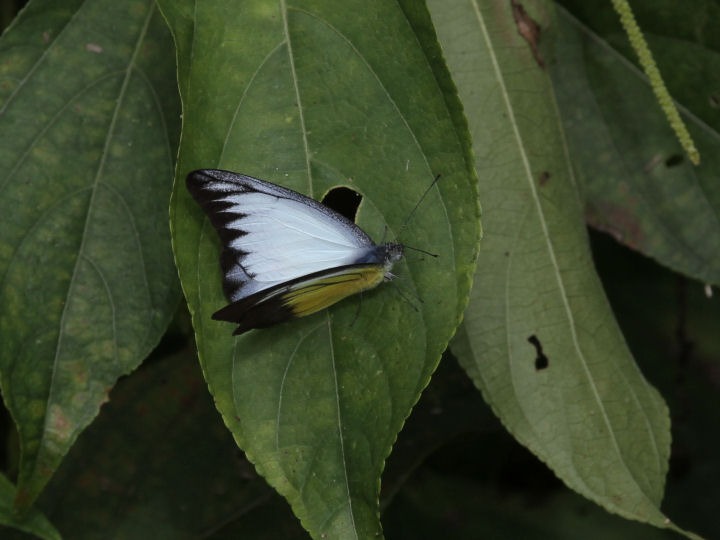 b0194593_655272.jpg
