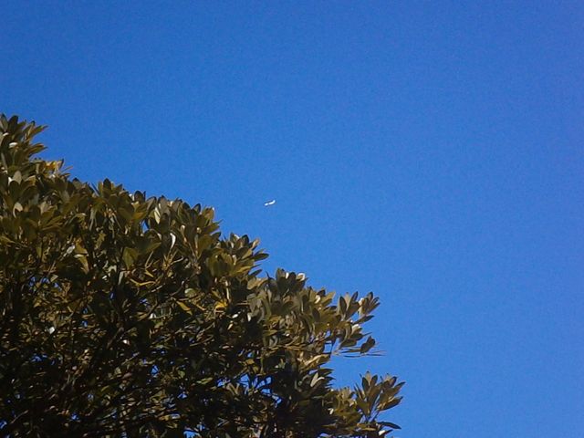 f0130894_21335695.jpg