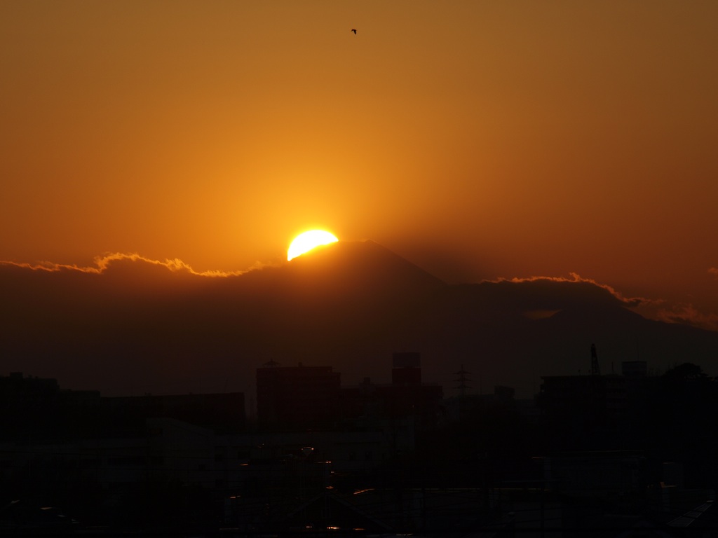 f0108399_23412969.jpg