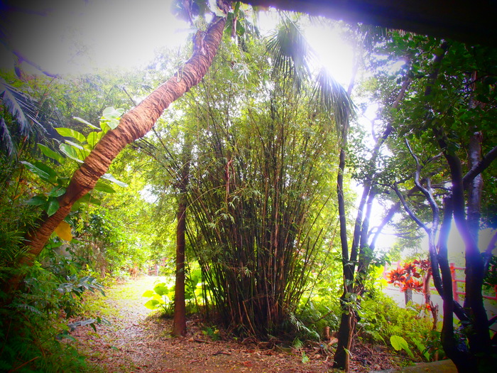 b0292900_19122284.jpg