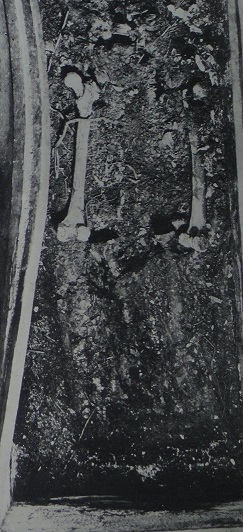 f0000521_19252794.jpg