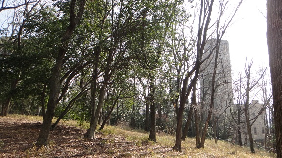 f0000521_20355758.jpg