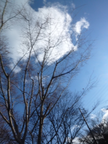 c0013922_932638.jpg