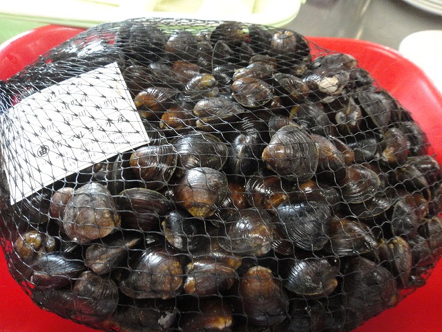 f0208737_847764.jpg