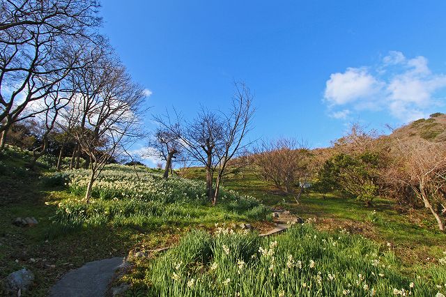 a0242438_19181390.jpg