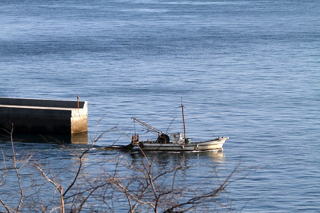 a0242438_1923757.jpg