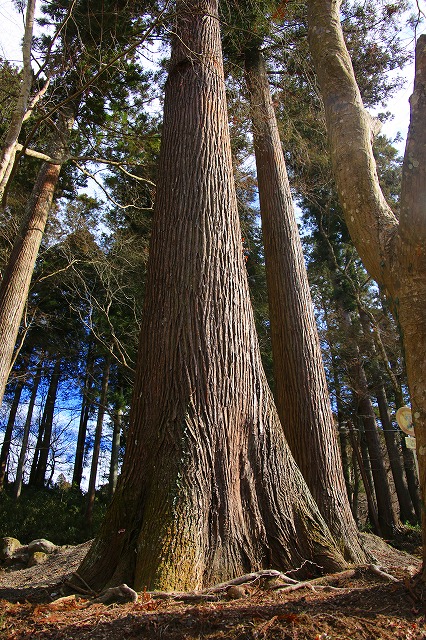 f0288049_10453020.jpg