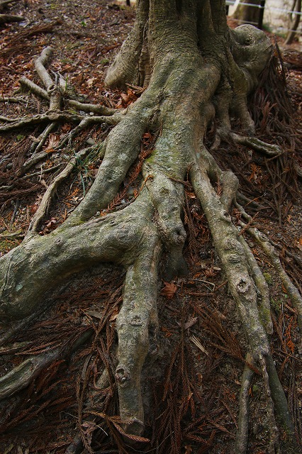 f0288049_10455026.jpg