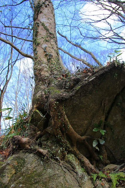 f0288049_10455960.jpg