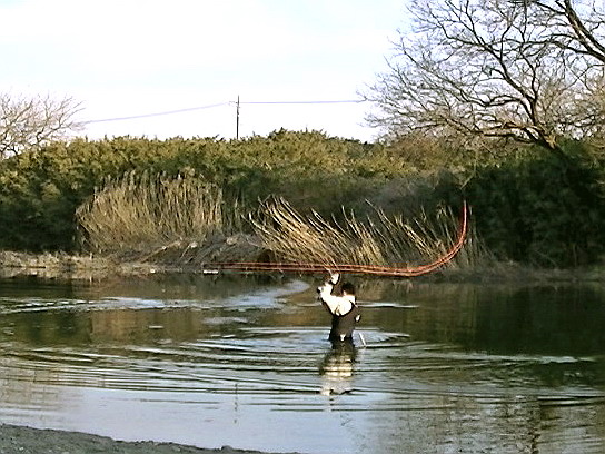 f0084561_1316613.jpg