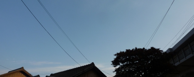 d0168567_16222532.jpg