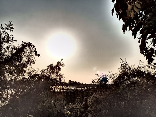 a0002177_20292968.jpg