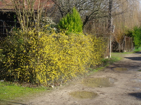 a0247585_9412459.jpg