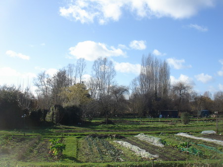 a0247585_9444523.jpg