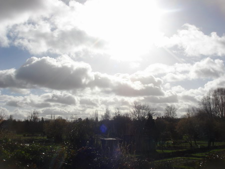 a0247585_948247.jpg