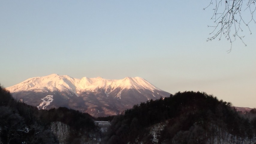 a0130586_921454.jpg
