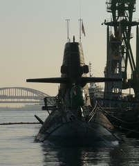 b0192588_942764.jpg