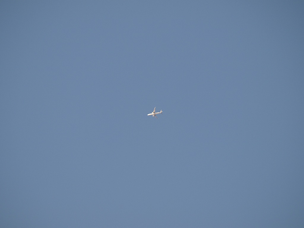 f0108399_2071133.jpg
