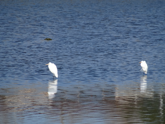 c0125501_201813.jpg