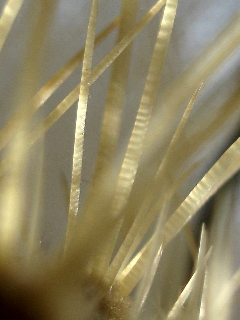 f0236201_08595536.jpg