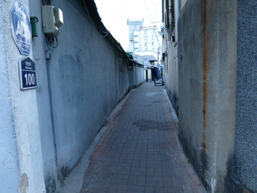 a0140305_1145782.jpg