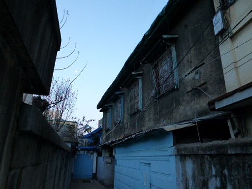 a0140305_115784.jpg
