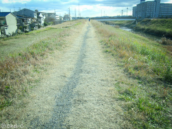 a0154706_12573586.jpg