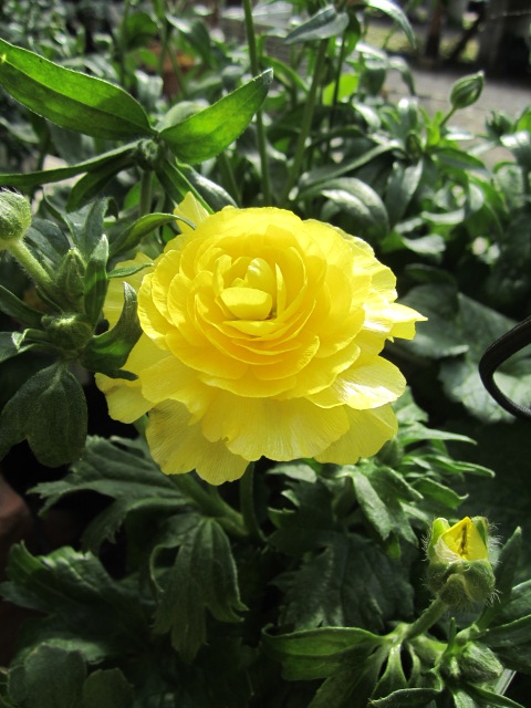 a0139007_2229379.jpg