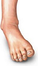 b0112009_124283.png