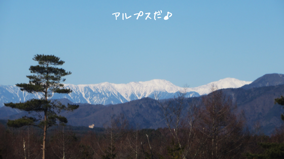 d0160611_1242273.png