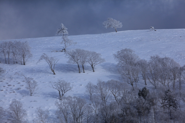 e0242721_104327.jpg