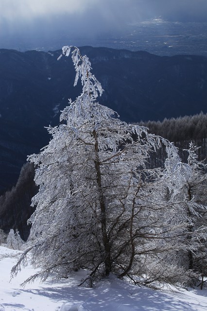 e0242721_1113333.jpg