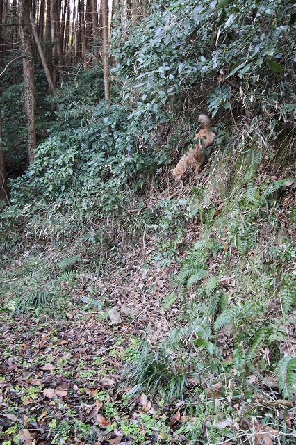 e0054022_16350000.jpg