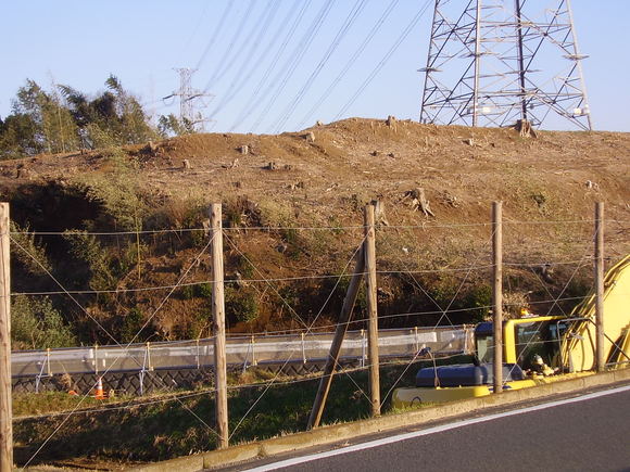 e0210728_19104868.jpg