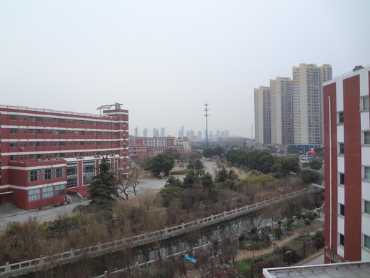 c0193136_2311616.jpg