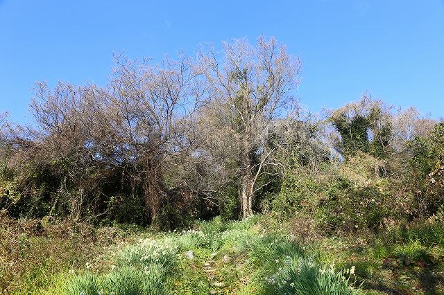 a0242438_1831347.jpg