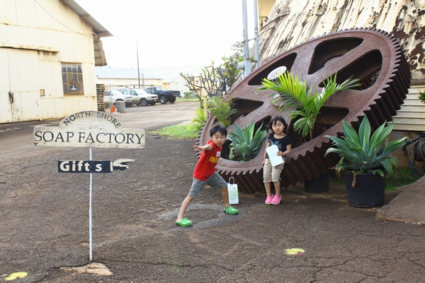 a0090451_10395788.jpg
