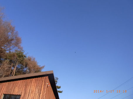 b0075364_8402145.jpg