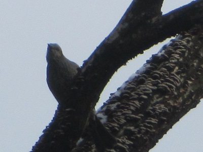 b0149071_17122780.jpg