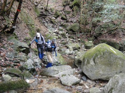 d0182075_4442012.jpg