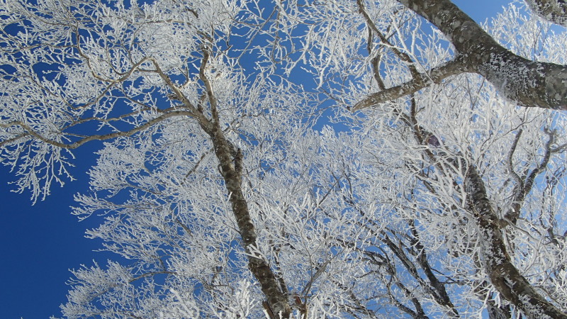 e0024081_21082024.jpg