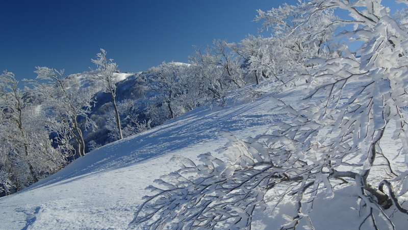 e0024081_21093956.jpg