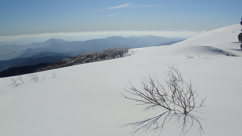 e0024081_21141036.jpg