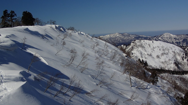 e0024081_21375363.jpg