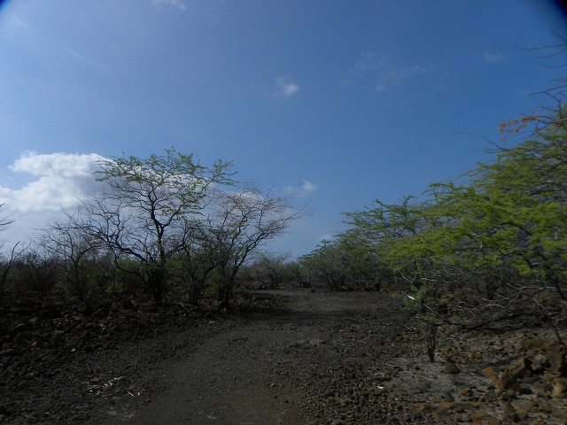 d0258487_12163456.jpg