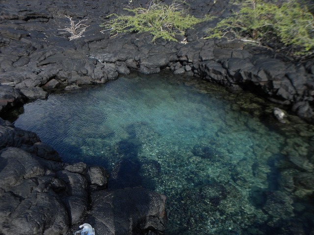 d0258487_12232738.jpg