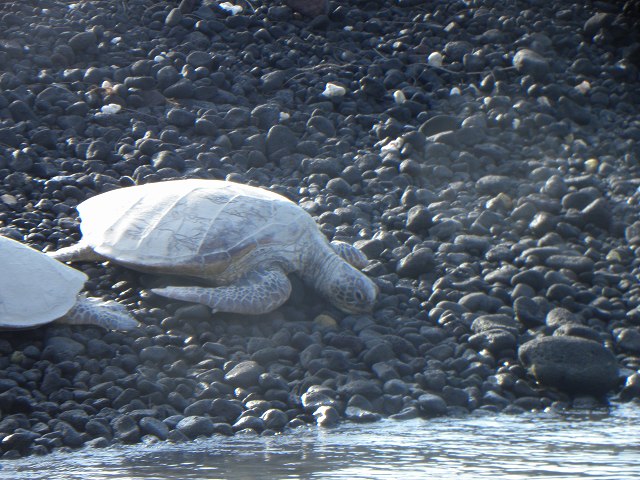 d0258487_12253247.jpg
