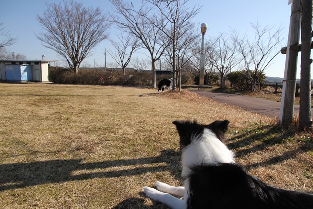 b0204498_2353449.jpg