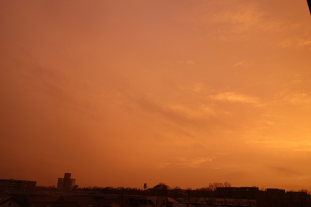 b0147203_19325219.jpg